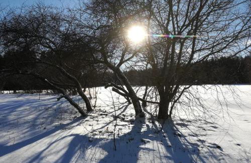 Fahrenbach-Alm - Foto 30