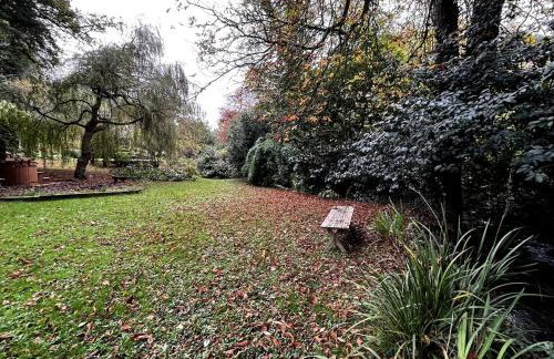 The Beech Hut, Wood Fired Hot Tub, St Kew Escapes - Foto 32