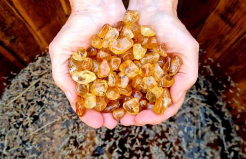 La Maison ZiaZen - Photo 36