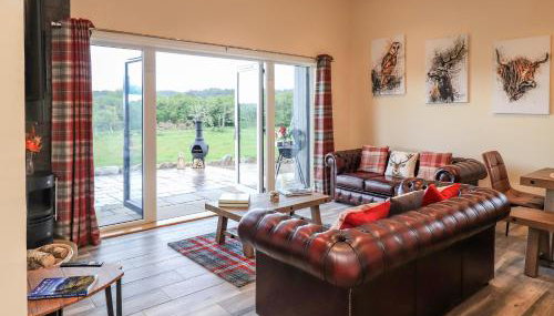 Pine Marten - Photo 4