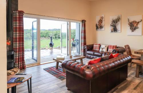 Pine Marten - Foto 4