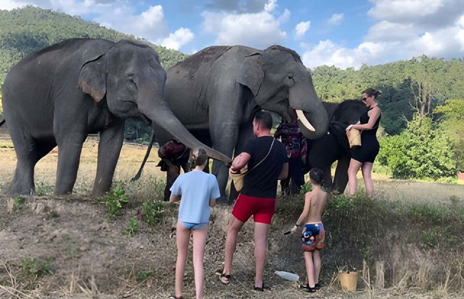 Excursão a uma protetora de elefantes - Foto 6