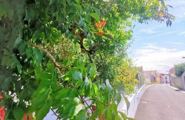 Au Coin Fleuri - Foto 31