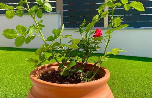 Amarynthos Maisonettes - Photo 6