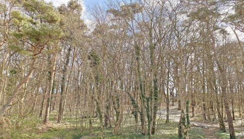 Ferienwohnung Sonnenstrand Whg 12 - Foto 2