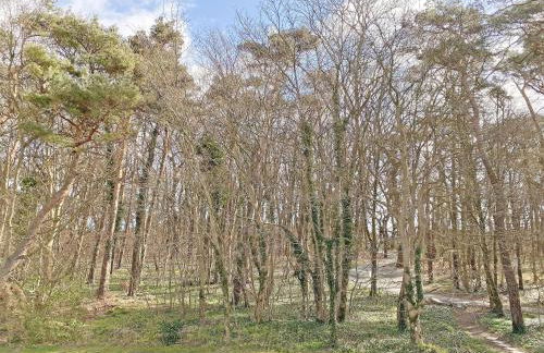 Ferienwohnung Sonnenstrand Whg 12 - Foto 2