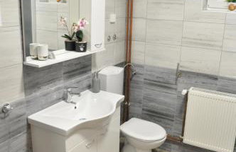 Apartmani Ana Vukovar - Foto 10