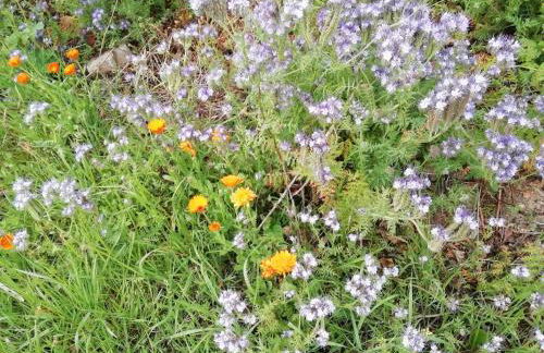 Ferienwohnung Kerstenhof - Foto 36