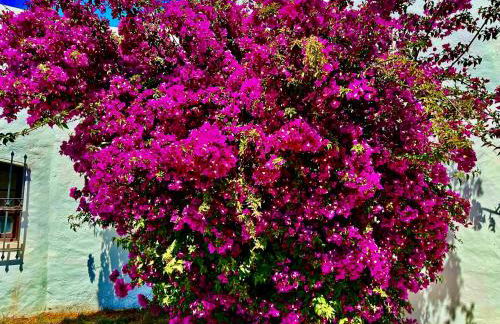 SOLAR DO MONTE 1 - Foto 26