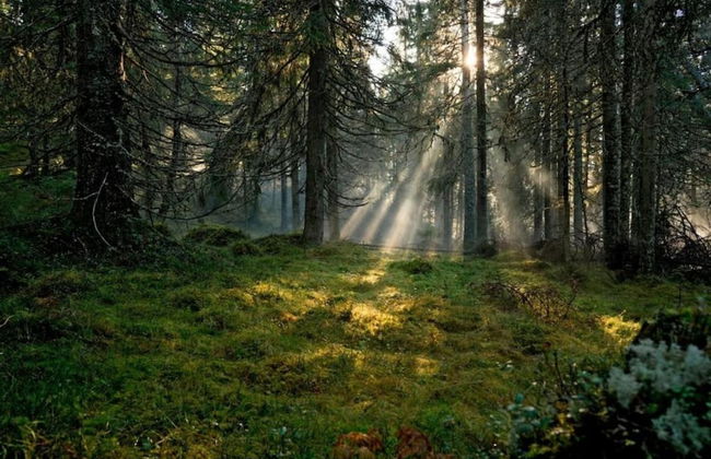 Perfect House for Groups, Many Facilities, 14 Miles From Skiarea Branas - Foto 46