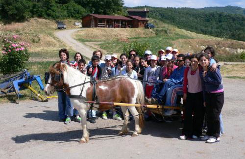 Masseria Straziuso - La Vaccariccia - Foto 13