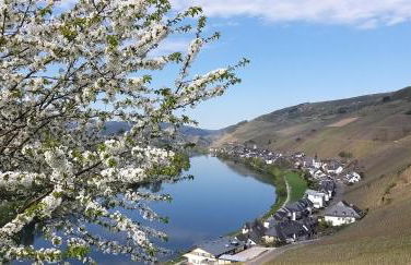 Mosel-Appartements Nehren - Foto 59