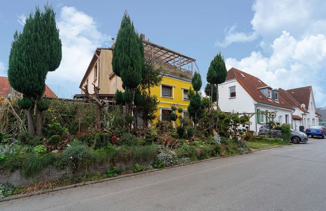 Charmante Ferienwohnung in Wismar mit Garten - Foto 34