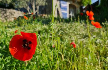 Oskar Sunny House - Adults Only - Foto 17