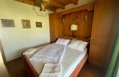 Luxury panoramic apartment Plan de Corones - Photo 9