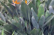 Pineapple Studio - Photo 28