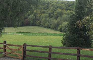 Contemporary Cottage outside South Harting - Foto 11