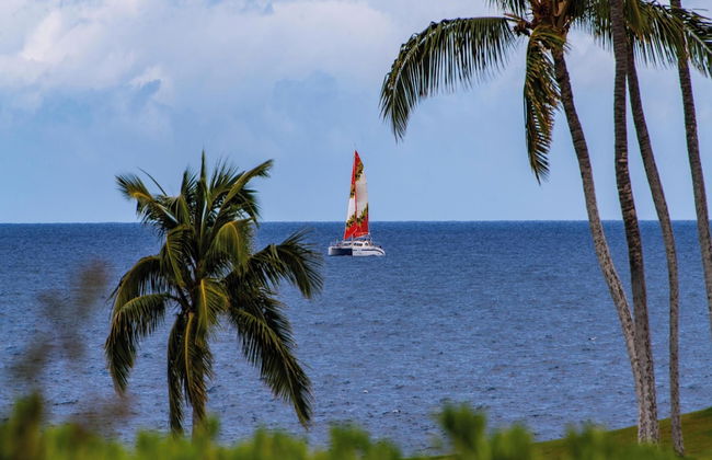 Mauna Lani Point - Foto 71