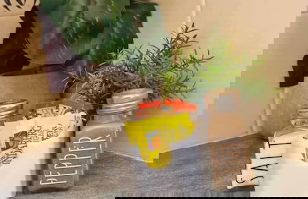 Blackall Caravan Park - Foto 11