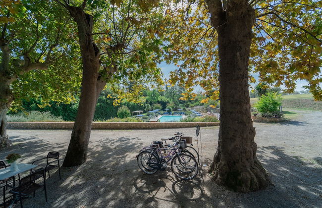 Agriturismo Torreghiotta - Foto 44