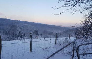 Sonnenschein am Rursee - Foto 19