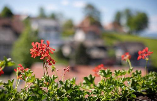 Ferienhaus Vogelsang - Foto 71