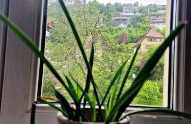 Holiday Apartment near Triberg Waterfall - Foto 12