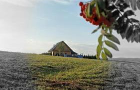 Dom Ci Spokój - Foto 11