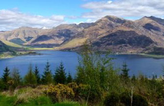 The Annex in Glenelg - Photo 18