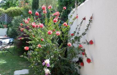 Le Clos Martin - Foto 31