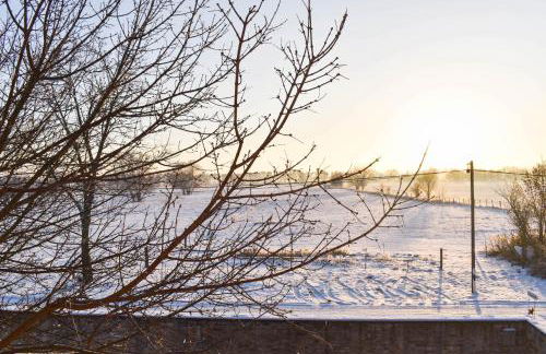 Ferienwohnung auf Pferdehof - Foto 50