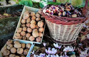 Calme et sérénité au gîte des hortensias - Foto 36