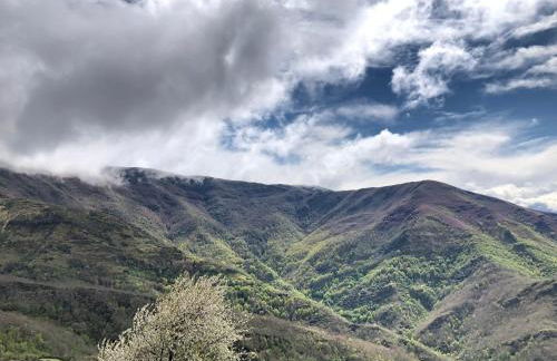 Lar da cima - Foto 50