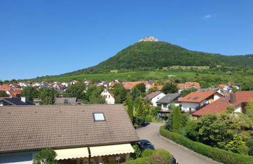 Studio 11 - Photo 27