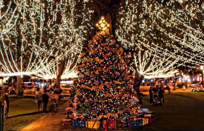 Charming Home in Heart of Downtown Pet Friendly! - Foto 21