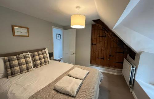 Little Ivy - Photo 10