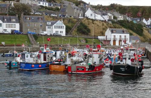 Orange Yurt With Hot Tub- Sleeps 3, Parking & Pets - Foto 54