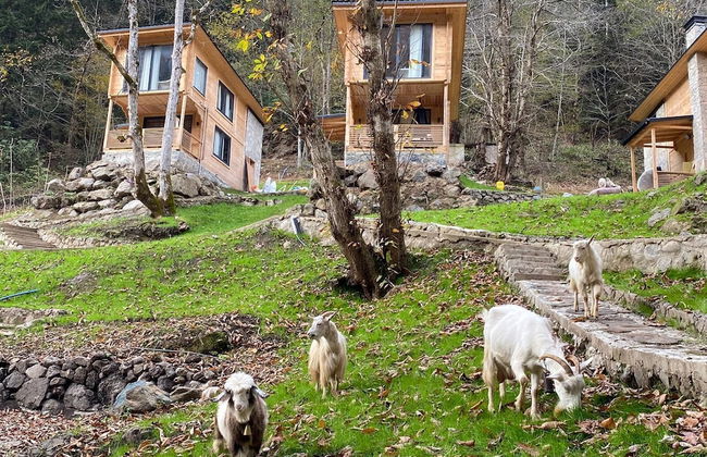 Berona Dağ Evleri - Photo 19