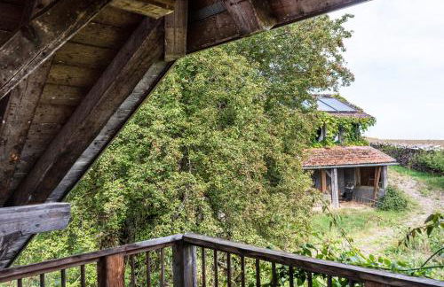 Hof Wegwarte - Foto 17