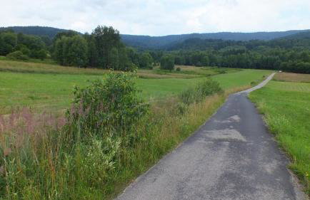Leśny Domek - Foto 70