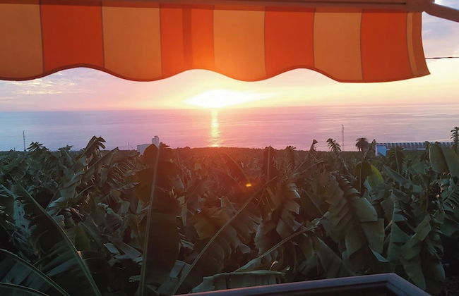 Caracol "trail Mountain La Palma" - Junto a Trébol - Foto 50