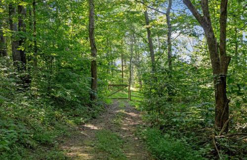 The Heartwood Hideaway-Charming Cabin Getaway-Trails, Creek, and Starry Nights - Foto 7