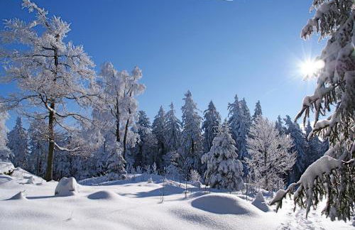Appartement Hüttenzauber in Sankt Englmar - Foto 36