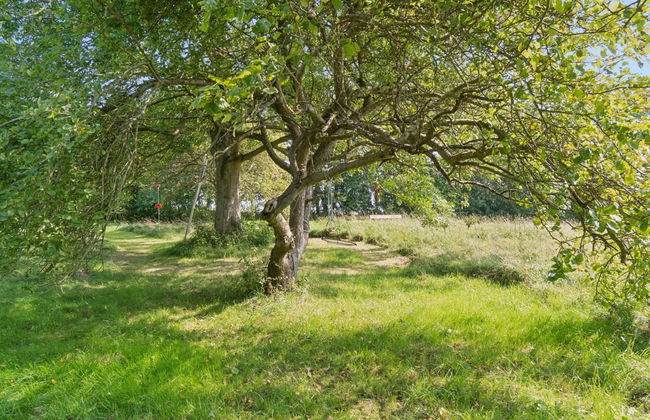 "Guthbrand" - 800m from the sea - Foto 11