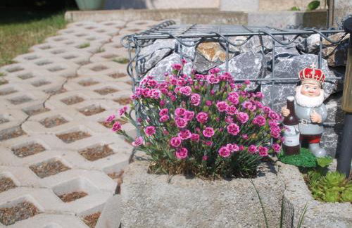 Ferienhaus Natzel - Foto 22