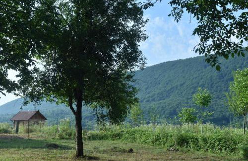 Imanje Jelaš - Foto 37