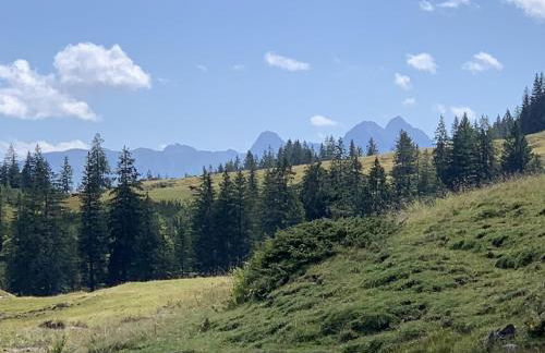 Anisers Hüs - Foto 15