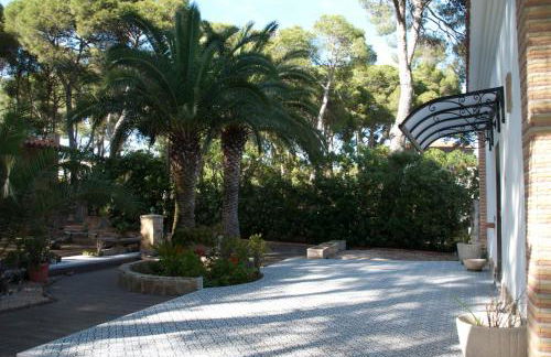 Sargantana Blava - Foto 54