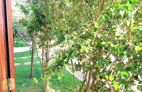 Temporada Belas Casas - Foto 47