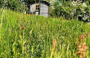 Woodpecker Hill - Apple Orchard in Alfriston - Foto 22